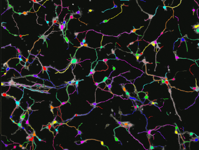 Axons