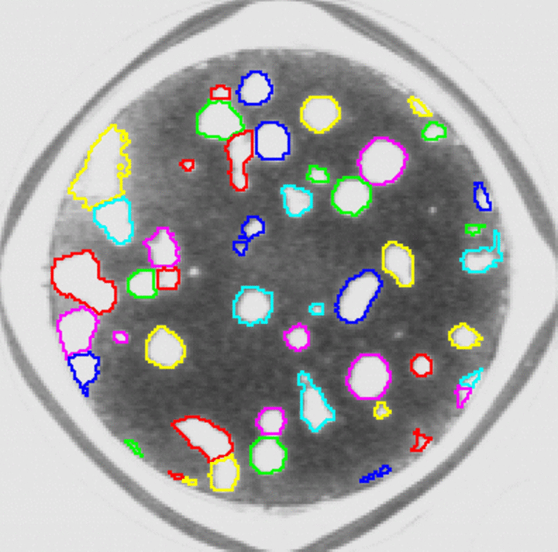 Bacteriology