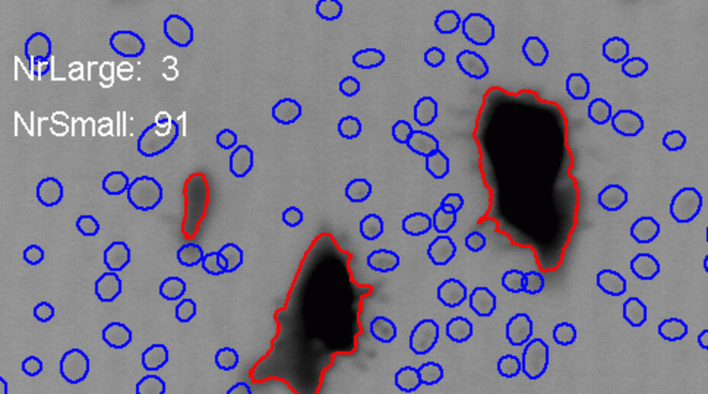 Cytology